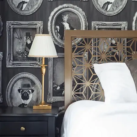 Too-good 크라쿠프